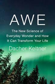 Image of Dacher Keltner's book on why awe is good for us.