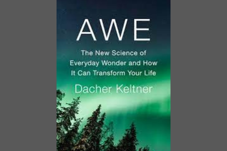 Episode 58 – Why Awe Is Good for Us: Book Recommendation!