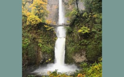 Episode 110 – Moving Metta Meditation