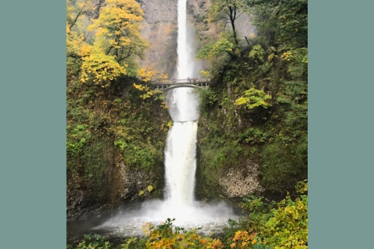 Episode 110 – Moving Metta Meditation