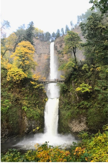 Image of a waterfall symbolizing the moving metta meditation practice.